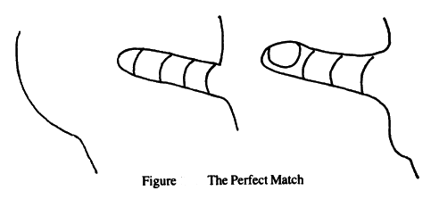 Matching Vaginal and Penile Reflexology Zones
